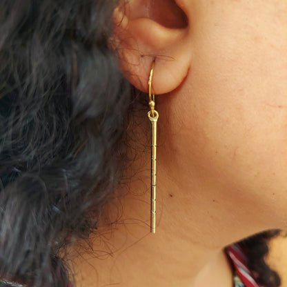 Elegant Stylish And Contemporary Stick Earrings